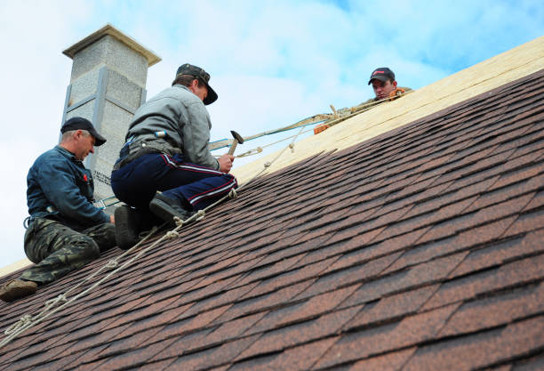 Best Roof Maintenance Services  in Bucyrus, OH