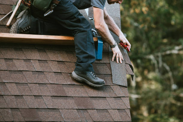 Best Gutter Installation and Roofing  in Bucyrus, OH